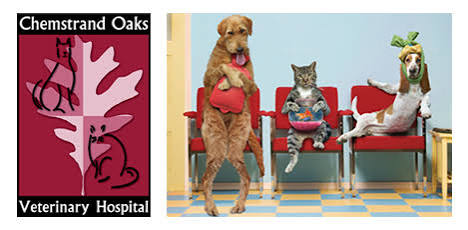 Chemstrand Oaks Veterinary Hospital