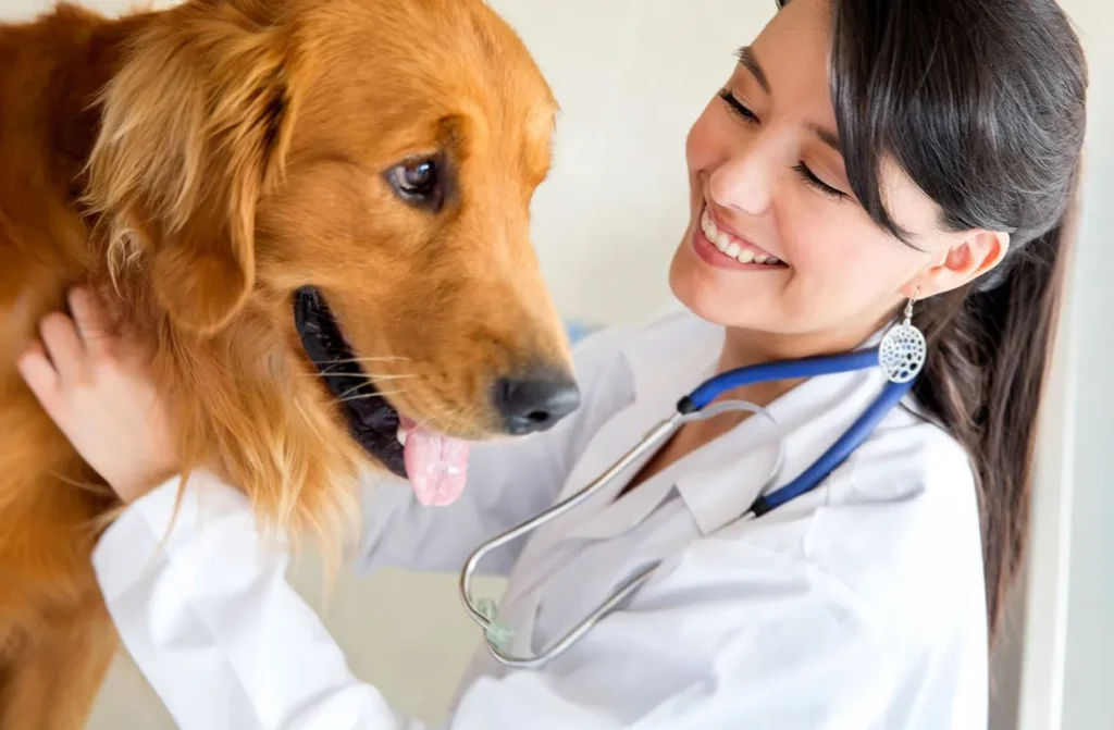 Veterinarian smiling as she hugs a golden retriever