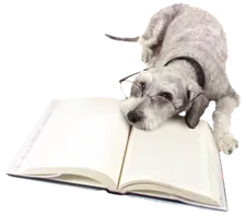 Dog Resources