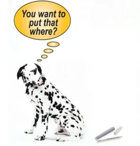 Dalmatian with a thought bubble that says: You want to put that where?