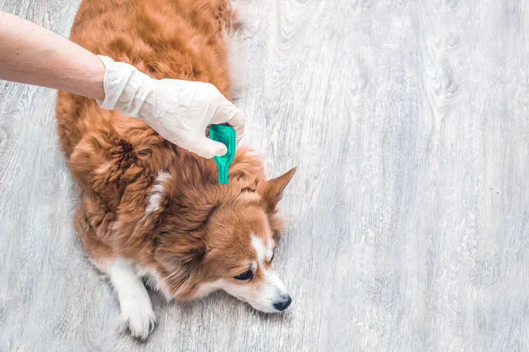 Deworming