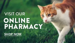 Visit our Online Pharmacy - Shop now
